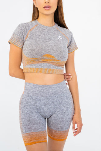 Ombre Crop Top