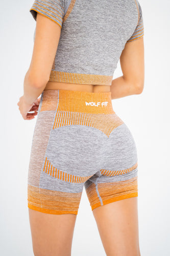 Ombre Biker Short